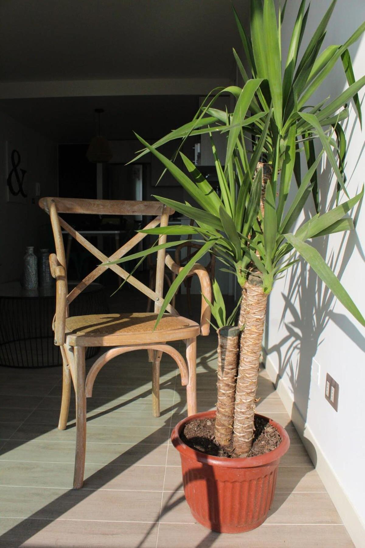 La Mejor Ubicacion: Luxury In Apartamento *